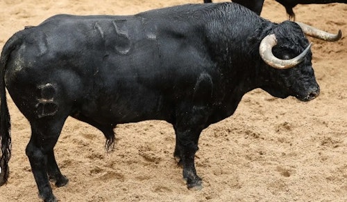 Toros en Sevilla, en directo: Calerito, que sale a hombros tras cortar dos orejas, conquista la Maestranza