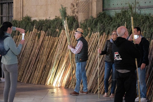 Así te hemos contado la Santa Faz 2024: Récord de participación con 330.000 peregrinos