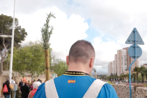 Así te hemos contado la Santa Faz 2024: Récord de participación con 330.000 peregrinos