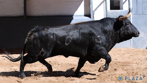 San Isidro, en directo: toros hoy en Madrid y última hora de Morante de la Puebla, Diego Urdiales y García Pulido