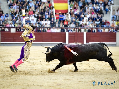 San Isidro, en directo: toros hoy en Madrid y última hora de Rafaelillo, Juan de Castilla y Jesús Enrique Colombo