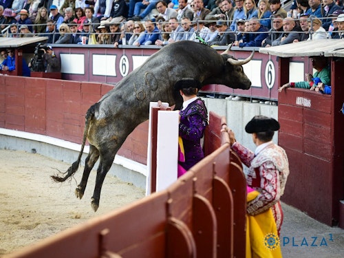 San Isidro, en directo: toros hoy en Madrid y última hora de Rafaelillo, Juan de Castilla y Jesús Enrique Colombo