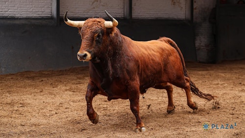 San Isidro, en directo: toros hoy en Madrid y última hora de Alejandro Peñaranda, Ismael Martín y Jarocho
