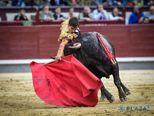 San Isidro, en directo: toros hoy en Madrid y última hora de Alejandro Peñaranda, Ismael Martín y Jarocho