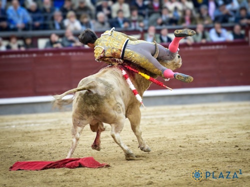 San Isidro, en directo: toros hoy en Madrid y última hora de Alejandro Peñaranda, Ismael Martín y Jarocho