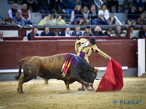 San Isidro, en directo: toros hoy en Madrid y última hora de Alejandro Peñaranda, Ismael Martín y Jarocho