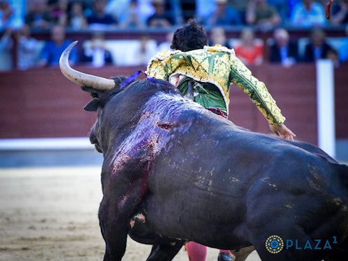 Toros en Las Ventas de Madrid por San Isidro, en directo: última hora de Juan Leal, Francisco José Espada e Isaac Fonseca hoy