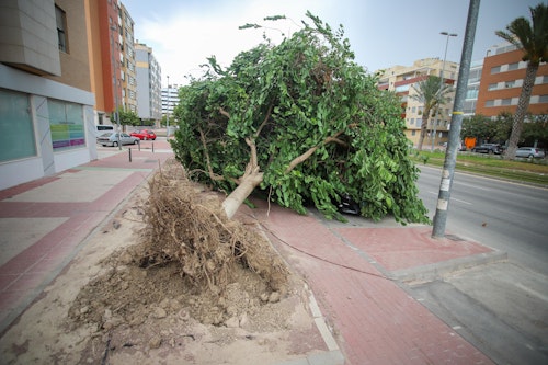 La DANA se ceba con el Valle del Guadalentín a su paso por la Región de Murcia