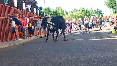 Miles de personas han disfrutado en el primer chúndara de Peñafiel