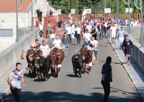 Miles de personas han disfrutado en el primer chúndara de Peñafiel