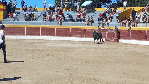 Miles de personas han disfrutado en el primer chúndara de Peñafiel