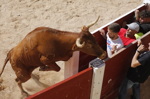 Miles de personas han disfrutado en el primer chúndara de Peñafiel