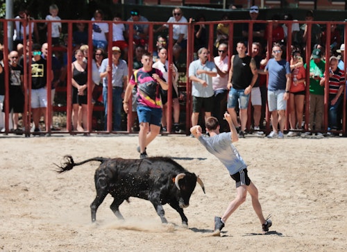 Miles de personas han disfrutado en el primer chúndara de Peñafiel