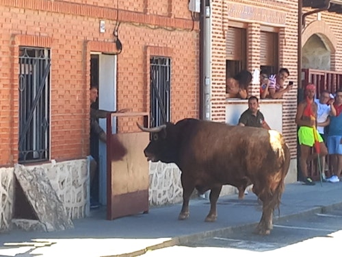 Miles de personas han disfrutado en el primer chúndara de Peñafiel