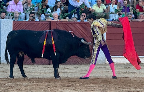 El Fandi, a hombros en el primer Festejo de Guijuelo