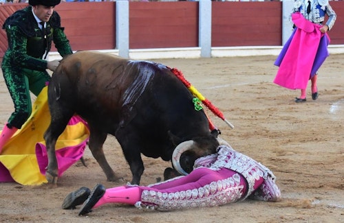 Excelente encierro de Vellosino y apoteosis con Emilio de Justo y Borja Jiménez en Guijuelo