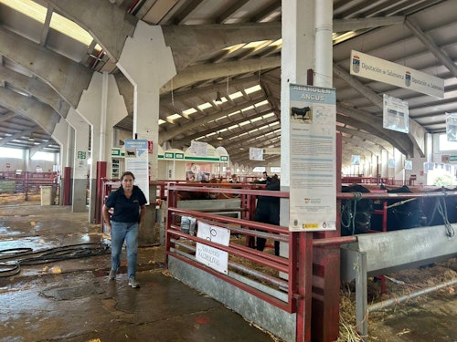 Salamaq 24: así ha sido la apertura de la feria agropecuaria este jueves