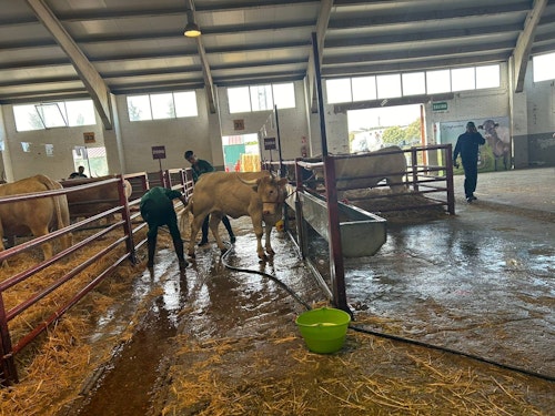 Salamaq 24: así ha sido la apertura de la feria agropecuaria este jueves