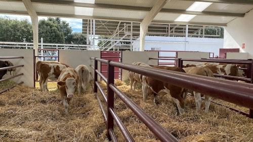 Salamaq 24: así ha sido la apertura de la feria agropecuaria este jueves