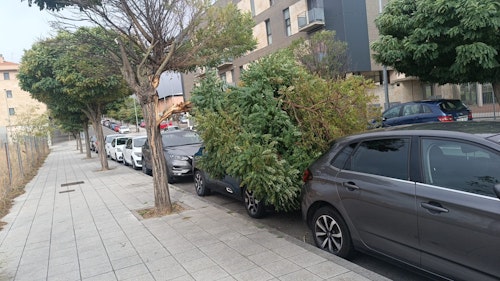 Las consecuencias del huracán Kirk en Salamanca en directo