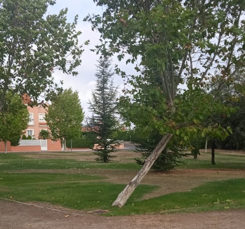 Las consecuencias del huracán Kirk en Salamanca en directo