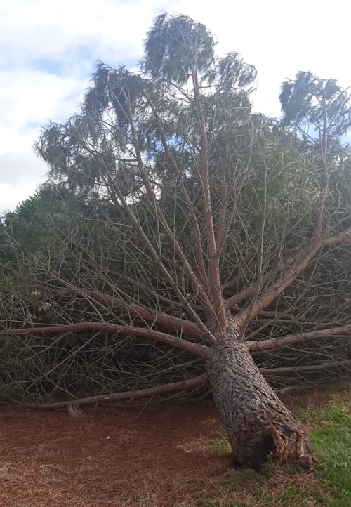 Las consecuencias del huracán Kirk en Salamanca en directo