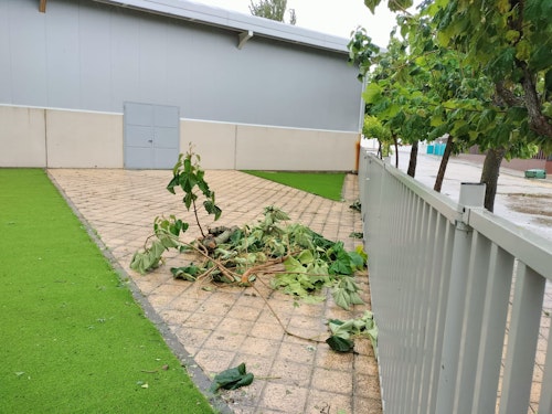 Las consecuencias del huracán Kirk en Salamanca en directo