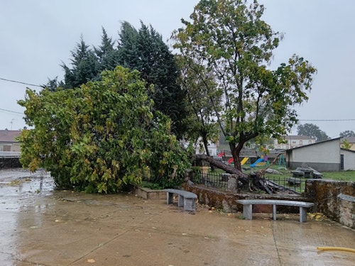 Las consecuencias del huracán Kirk en Salamanca en directo