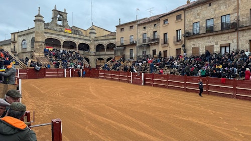 Así ha sido el festejo del Bolsín Taurino y el rejoneador Víctor Herrero