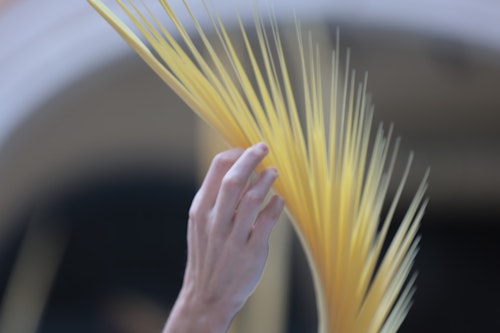 Directo | Traslados y procesiones del Sábado de Pasión en Málaga 2025