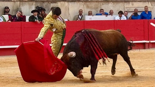 En directo, Nimes: Marco Pérez conquista el anfiteatro en su alternativa
