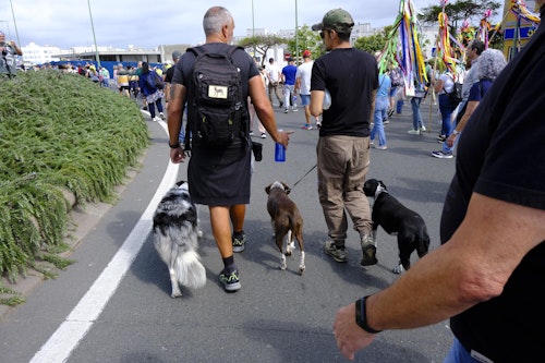 La subida de la Virgen del Pino, en directo: la Patrona ya está en casa