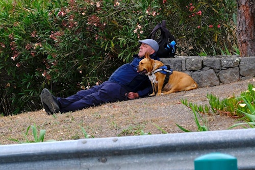La subida de la Virgen del Pino, en directo: la Patrona ya está en casa