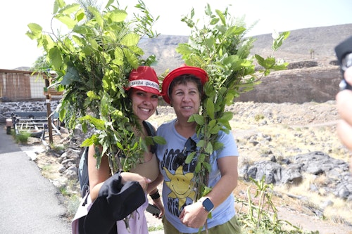 Agaete se rinde a La Rama: baile, tambores, fiesta y tradición