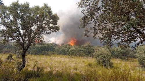 Dos nuevas evacuaciones en León: Torneros de Jamuz y Robledino de la Valduerna