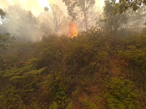 Incendio en La Alberca: vecinos desalojados, nivel 2 y más de 40 medios
