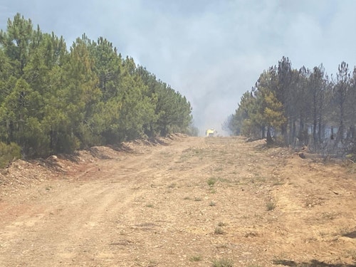 Incendio en La Alberca: vecinos desalojados, nivel 2 y más de 40 medios