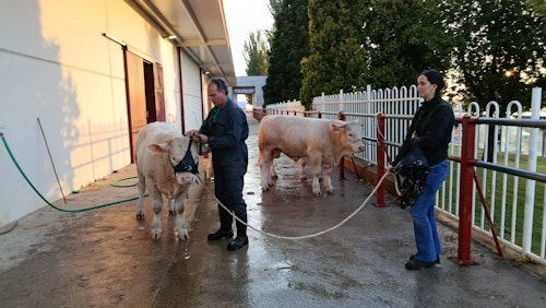 Sigue en directo la jornada inaugural de Salamaq 2025