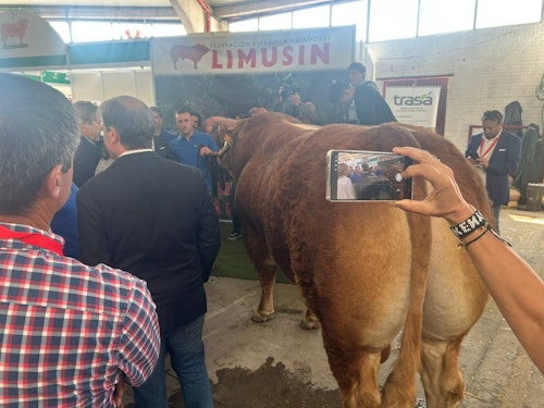 Sigue en directo la jornada inaugural de Salamaq 2025