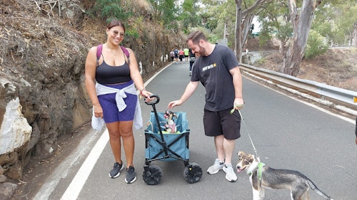 Fiestas del Pino 2025 en directo: romería, cómo llegar y última hora de Teror