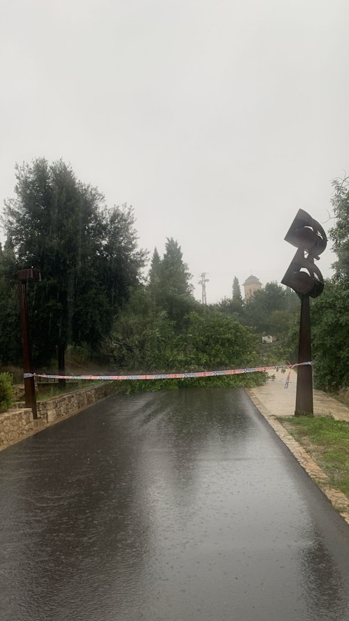 DIRECTO | Alerta en la Comunitat por el paso de la dana Alice