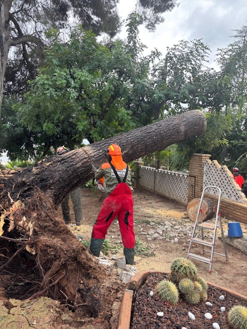 DIRECTO | Alerta en la Comunitat por el paso de la dana Alice