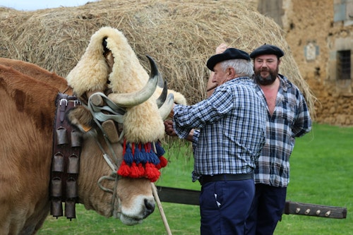 «¡Valdesoto es un pueblo afayadizu!»: así te hemos contado el recorrido de la Familia Real