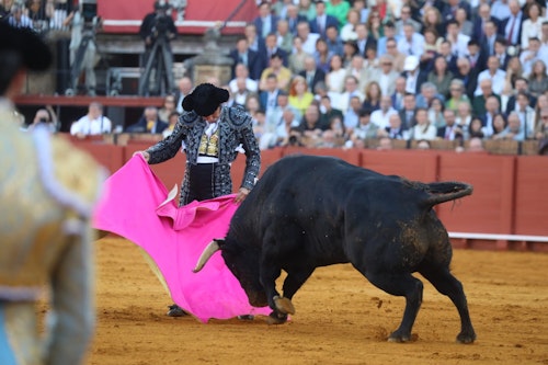 Toros en Sevilla, en directo: sigue la corrida del Domingo de Resurrección con Morante, Roca Rey y David de Miranda