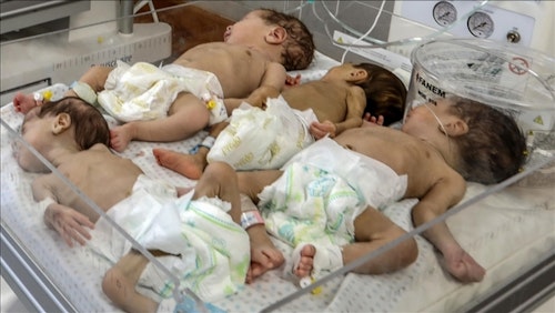 Gazze'deki Şifa Hastanesi'nden çıkarılan 28 prematüre bebek Mısır'da tedavi görecek
